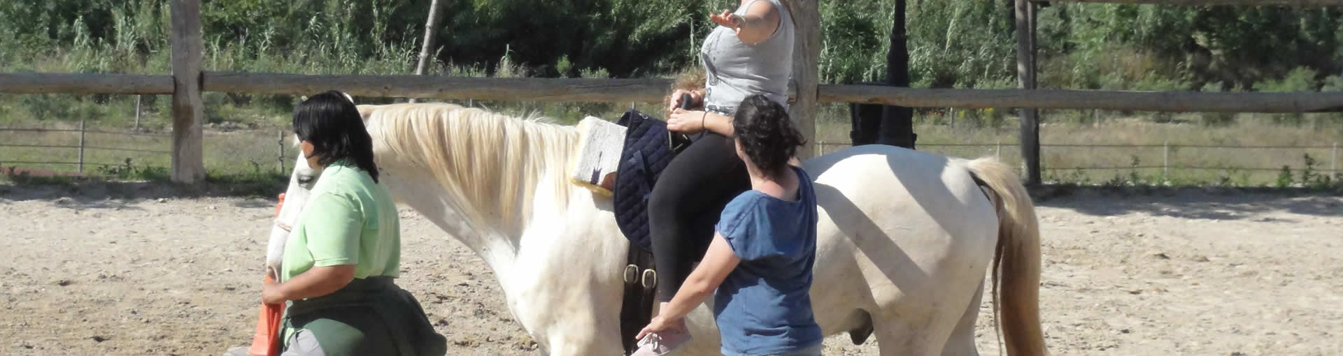 Caballos de equinoterapia