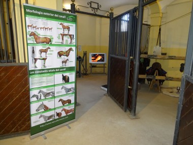foto_1.jpg